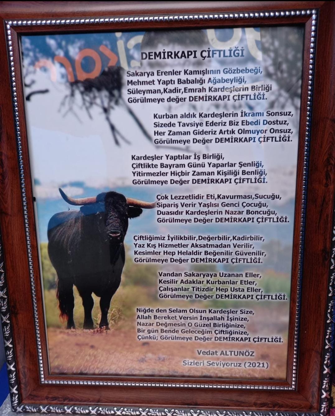 ae031927-7592-4198-9e79-9b9b99d976ad