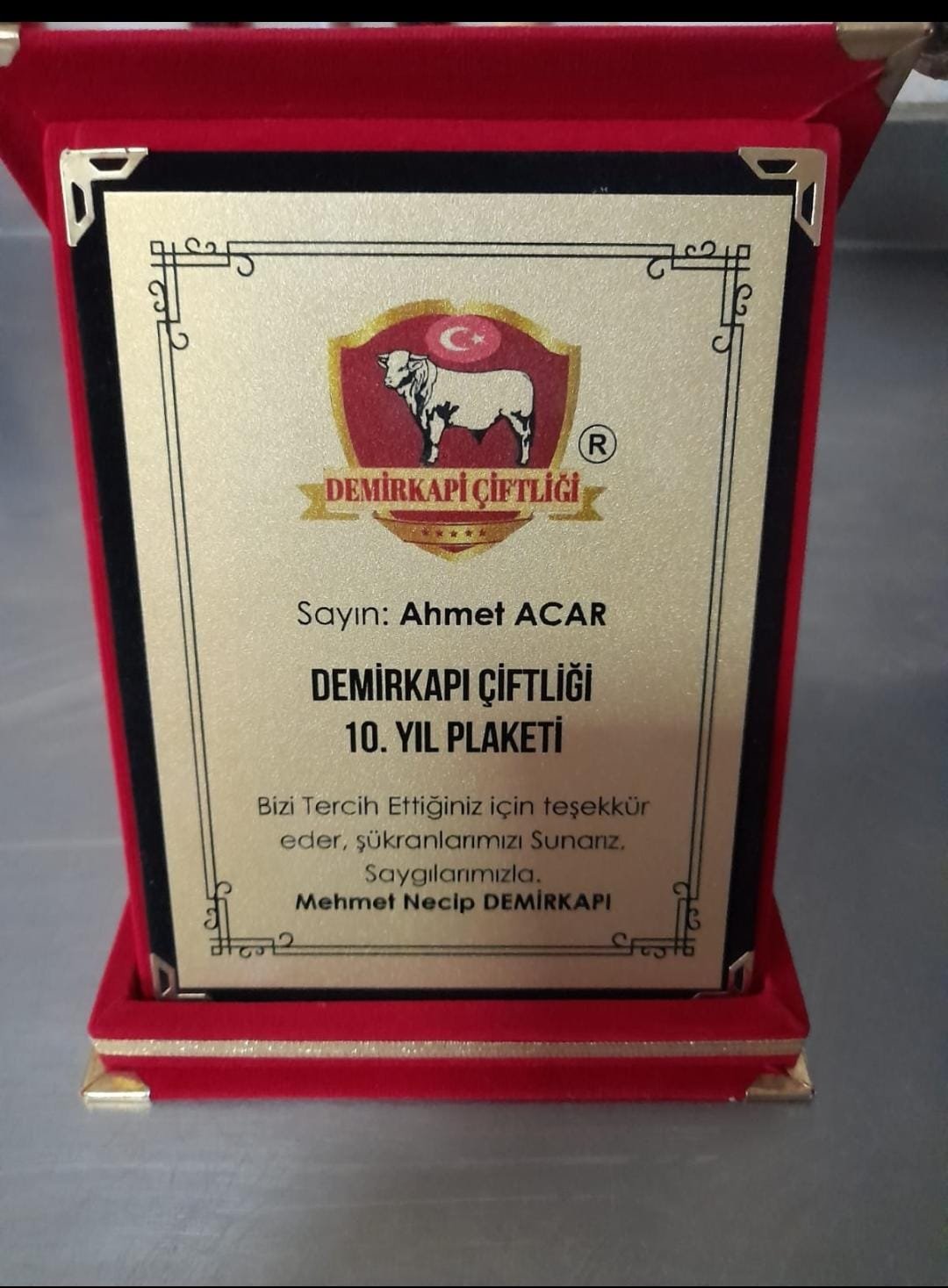 ef8085fa-aea1-4572-8c9a-1ec5ff590db3